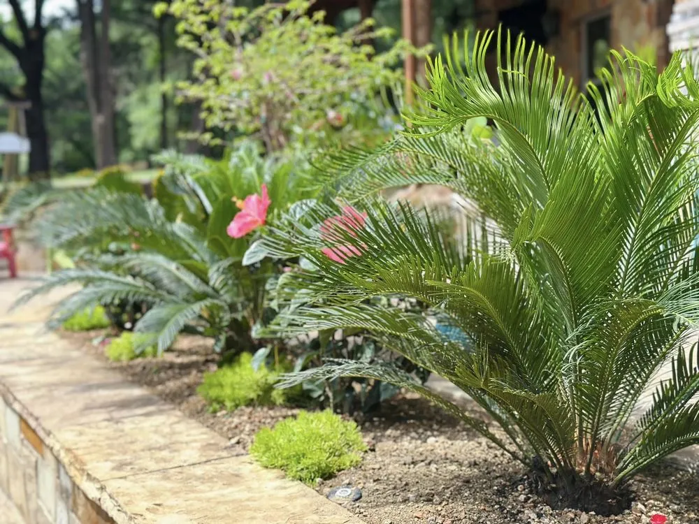 Affordable landscape installation in Ennis, TX - Mow Pro's