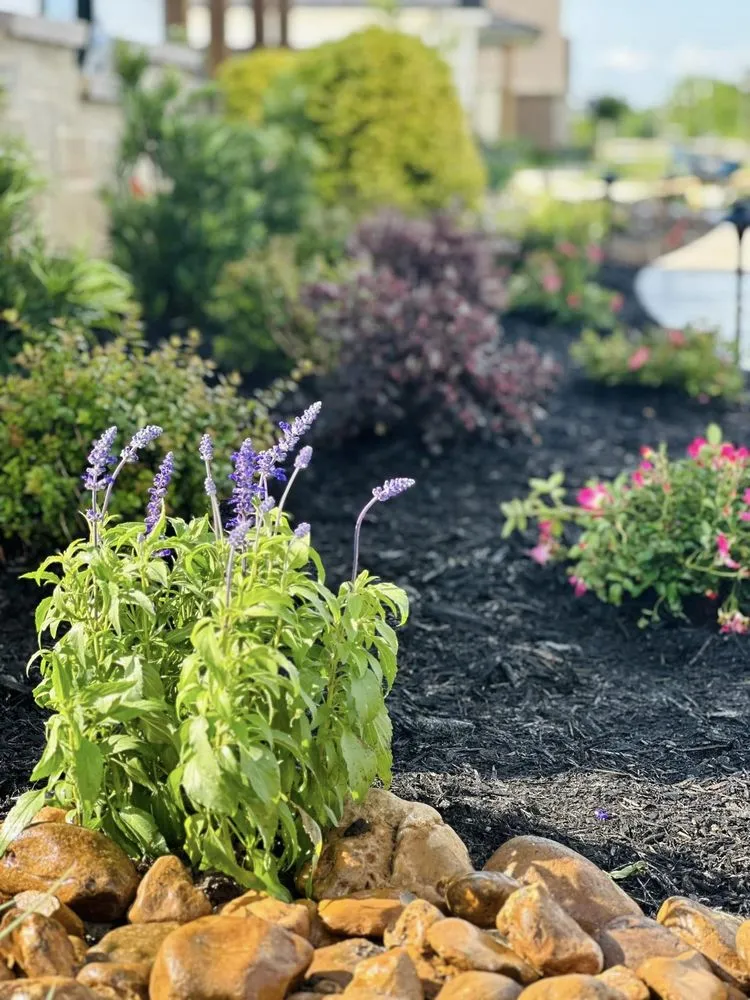 Expert landscape installation in Ennis, TX by Mow Pro's