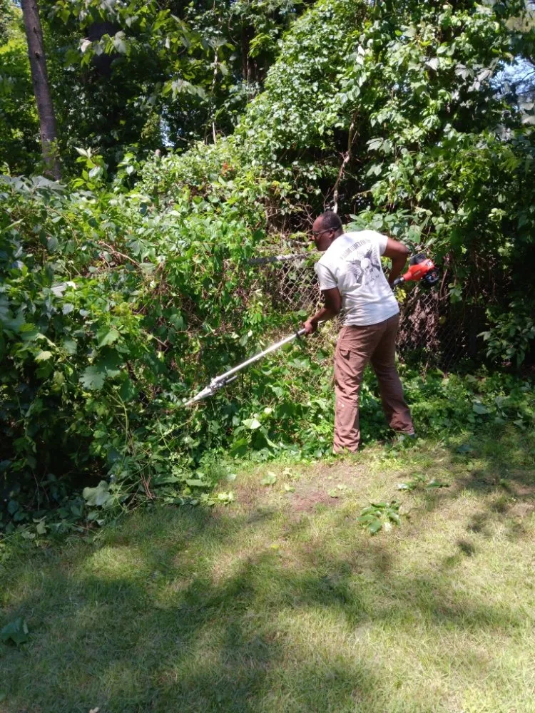 Trusted lawn mowing service experts serving Fort Edward, NY - Mow Pros