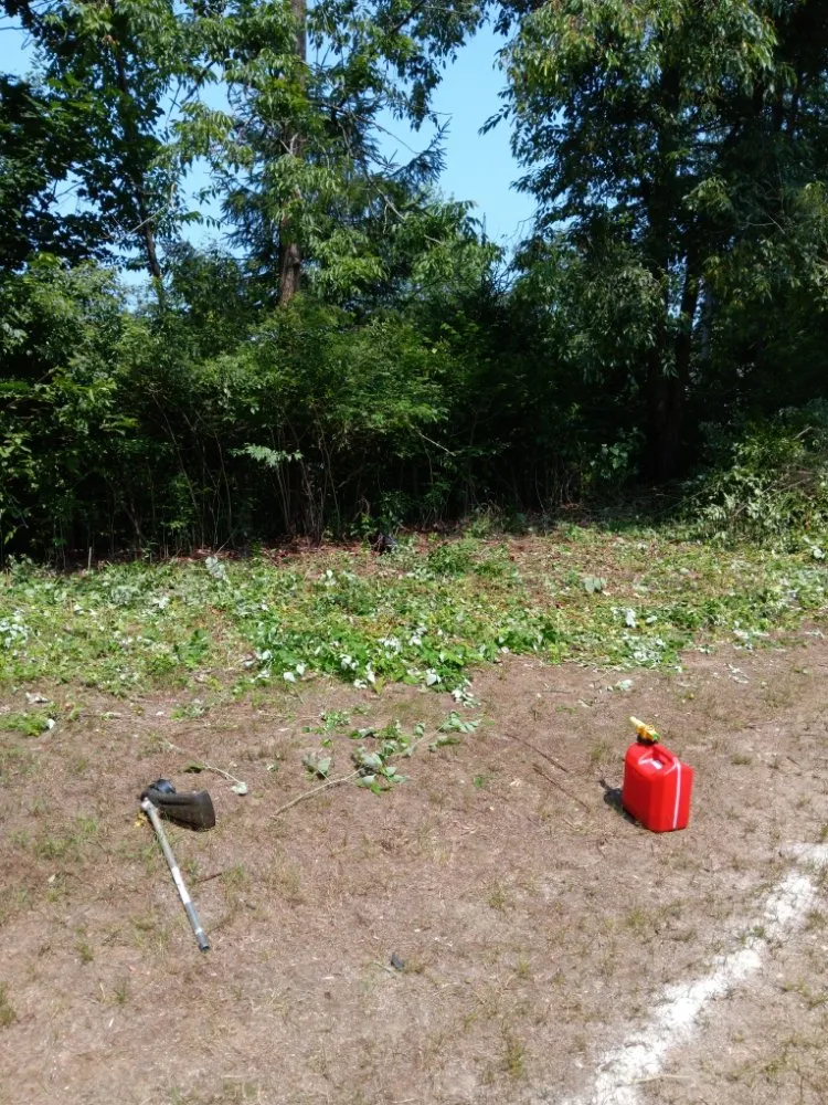 Trusted outdoor landscaping with custom design in Fort Edward, NY by Mow Pros