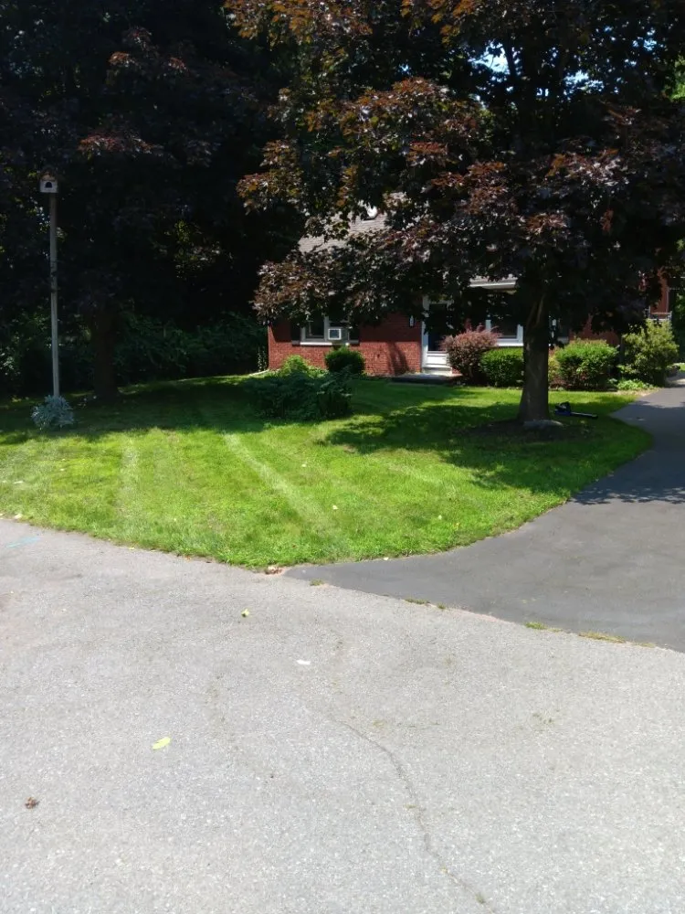 Trusted landscape design in Fort Edward, NY by Mow Pros