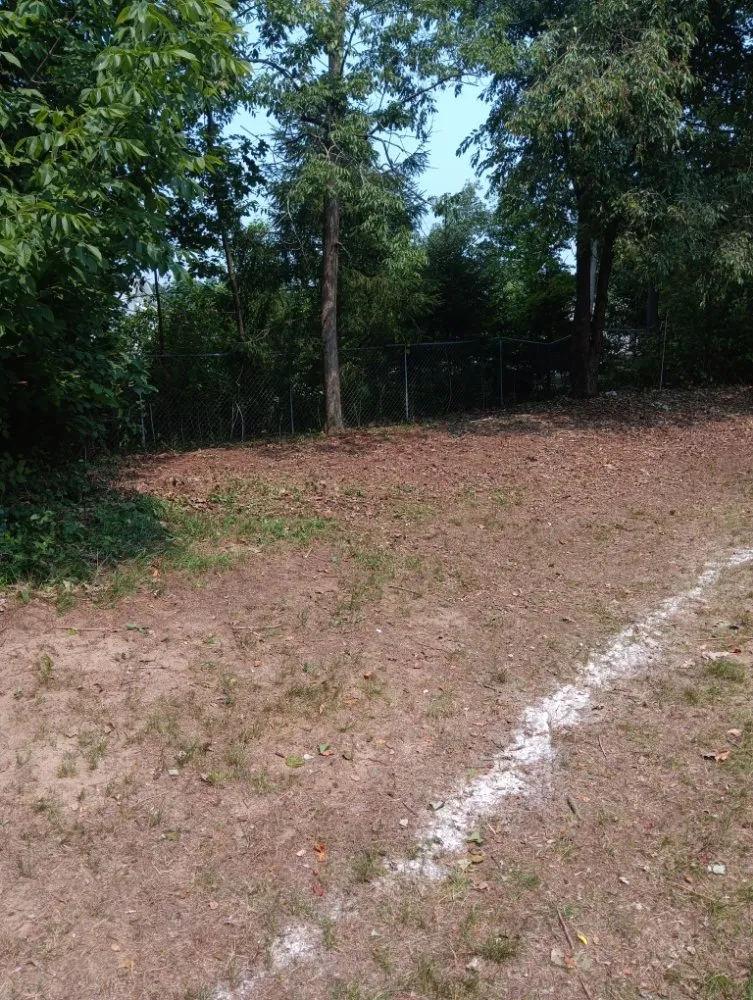 Professional landscape design for beautiful yards across Fort Edward, NY - Mow Pros