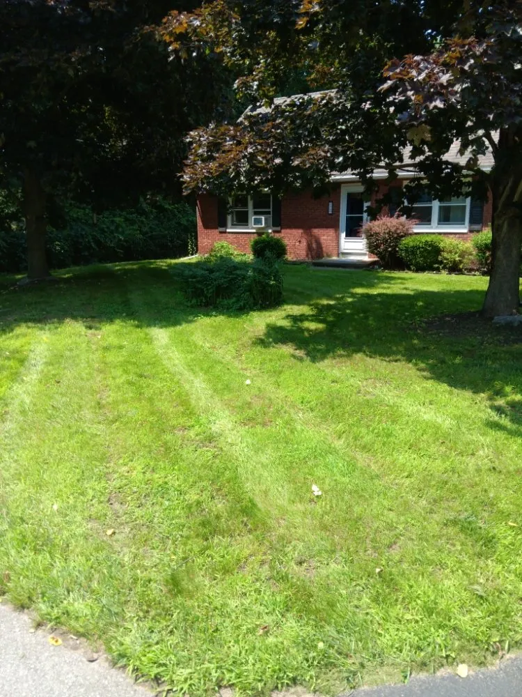 Affordable lawn care service for beautiful yards in Fort Edward, NY by Mow Pros