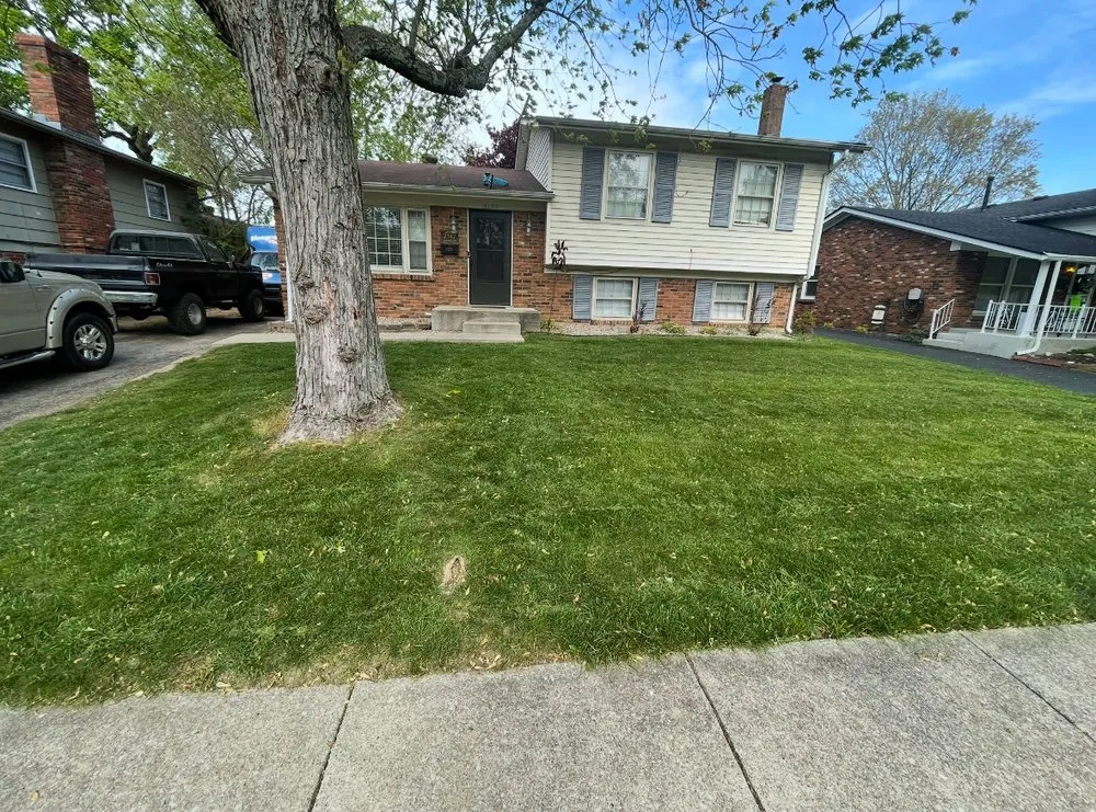 Top-rated yard maintenance experts serving Lexington-Fayette, KY - Mow Pros Lawn Care