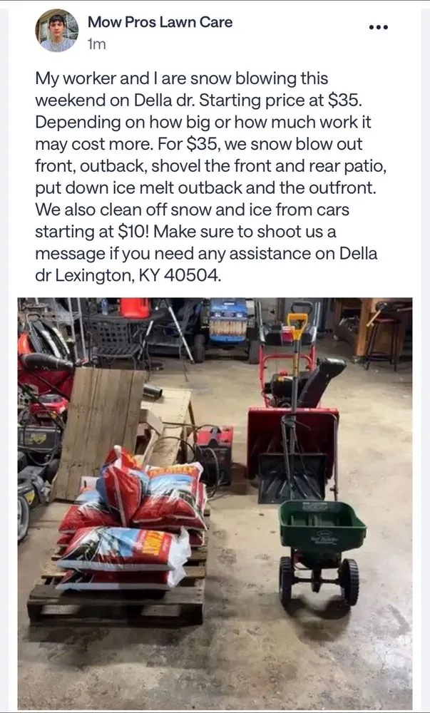 Custom lawn mowing service with custom design in Lexington-Fayette, KY by Mow Pros Lawn Care