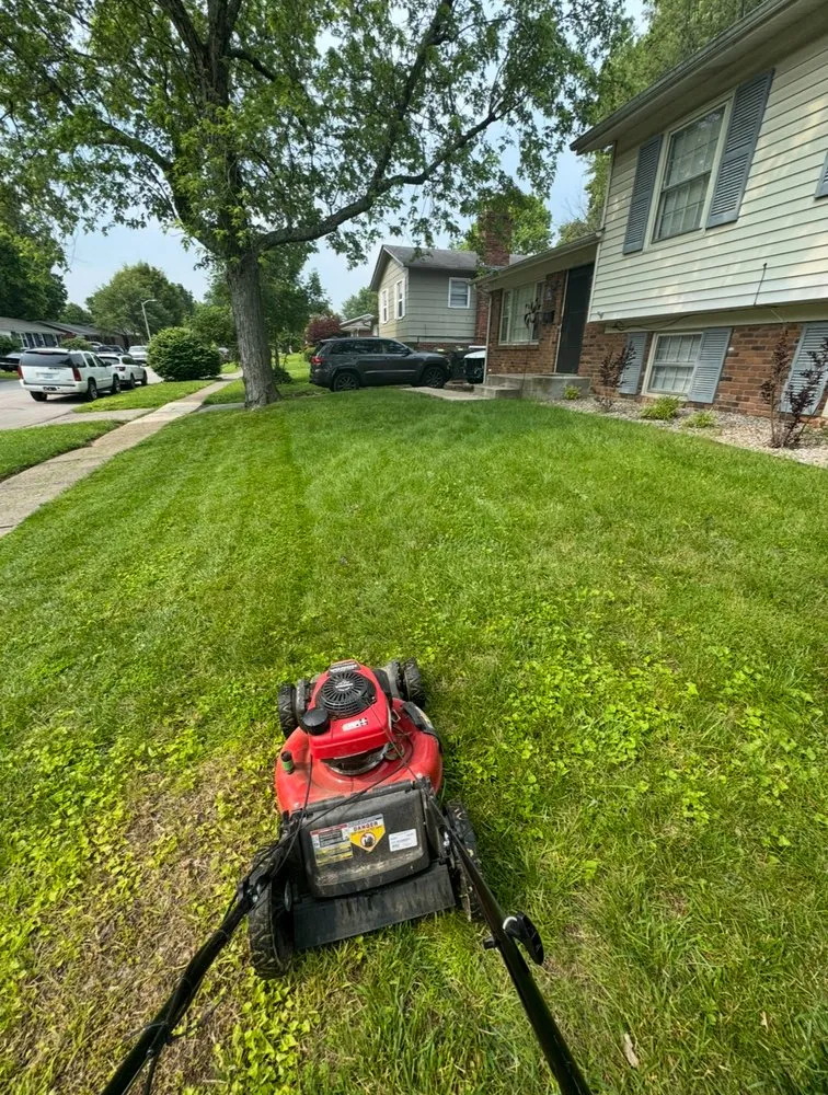 Trusted residential landscaping for beautiful yards across Lexington-Fayette, KY - Mow Pros Lawn Care