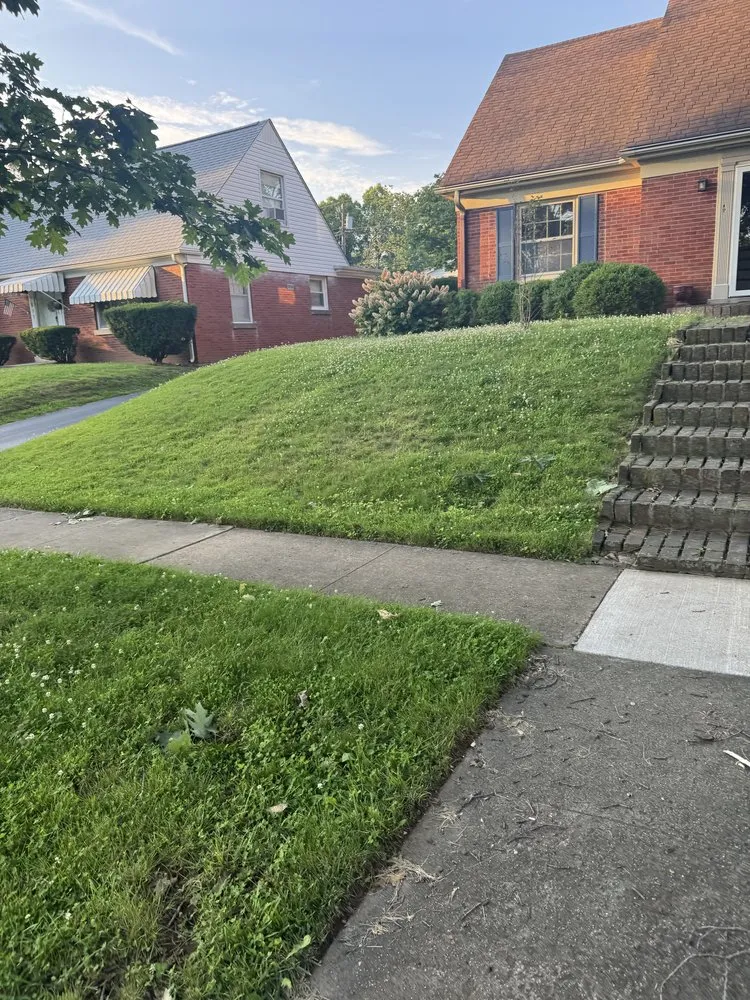 Local landscaping services experts serving Lexington-Fayette, KY - Mow Pros Lawn Care