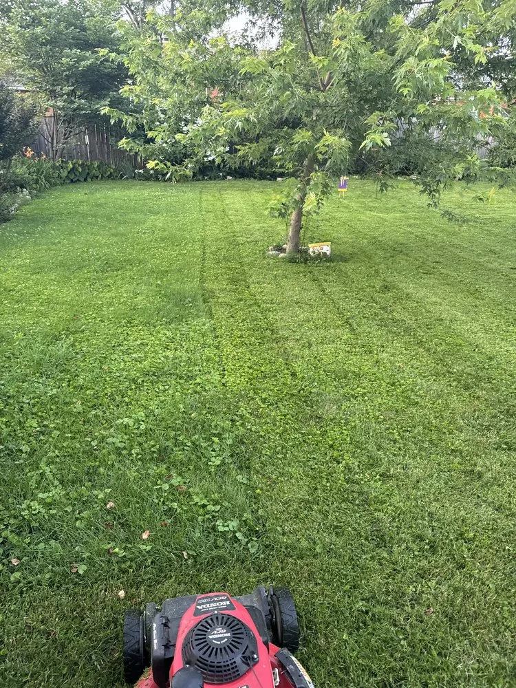 Reliable lawn care service in Lexington-Fayette, KY by Mow Pros Lawn Care
