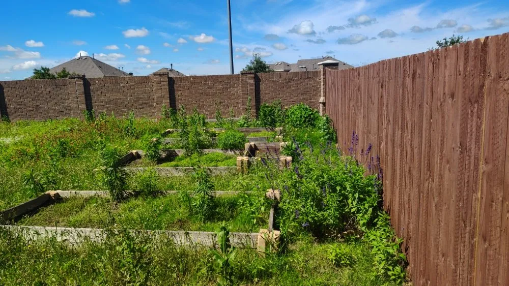 Professional residential landscaping in Fort Worth, TX by Mow Pros Lawn Landscaping