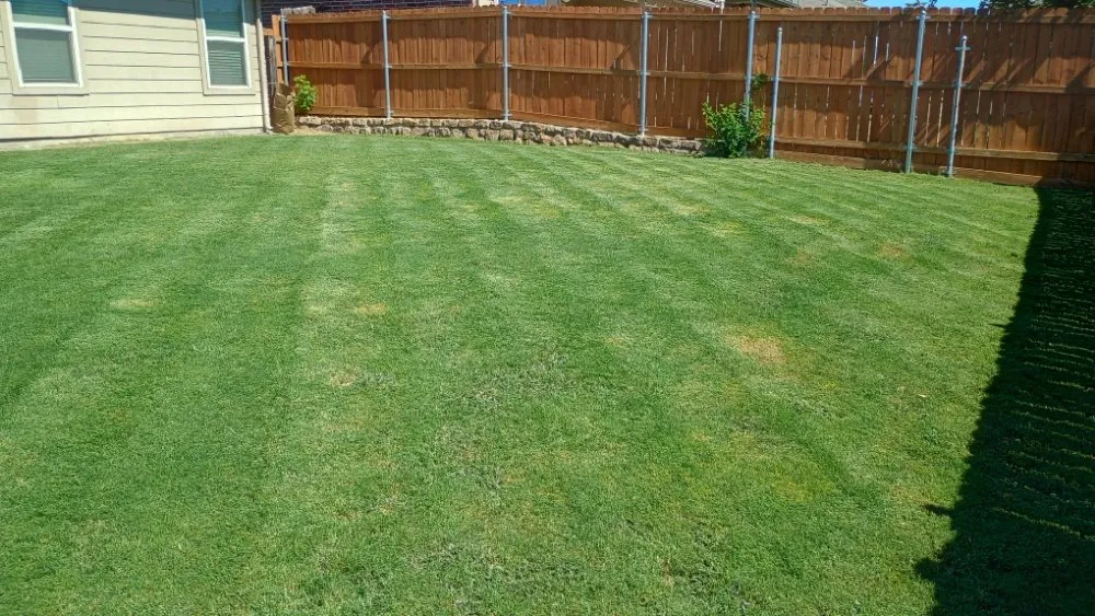 Local garden landscaping for outdoor upgrades in Fort Worth, TX by Mow Pros Lawn Landscaping