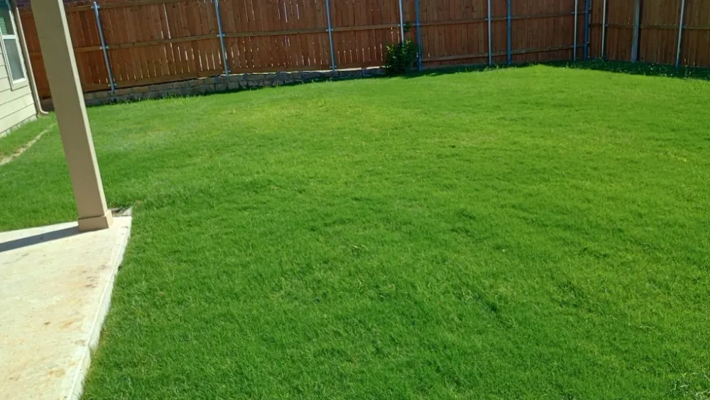 Trusted outdoor landscaping in Fort Worth, TX - Mow Pros Lawn Landscaping