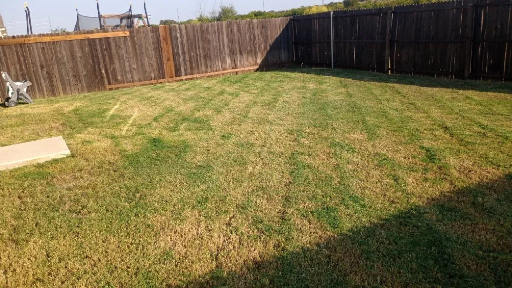 Expert lawn care service for year-round maintenance across Fort Worth, TX - Mow Pros Lawn Landscaping