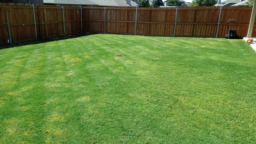 Professional yard cleanup service experts serving Fort Worth, TX - Mow Pros Lawn Landscaping