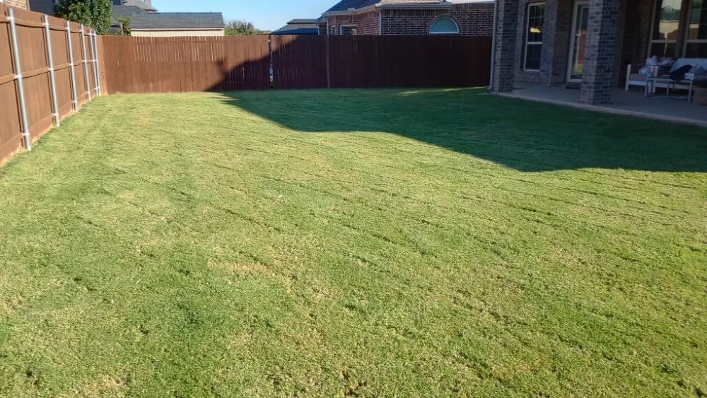 Custom garden landscaping in Fort Worth, TX - Mow Pros Lawn Landscaping