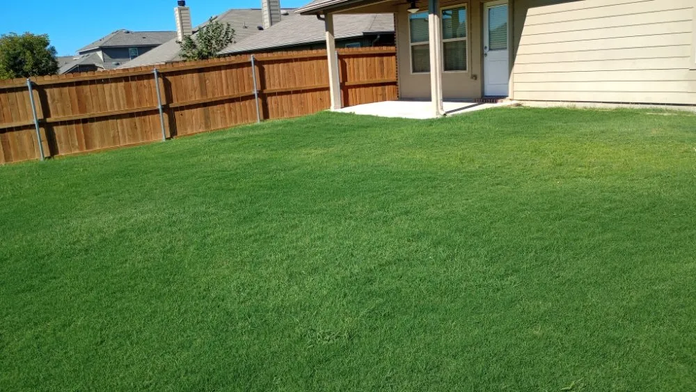 Local landscaping services for homes across Fort Worth, TX - Mow Pros Lawn Landscaping