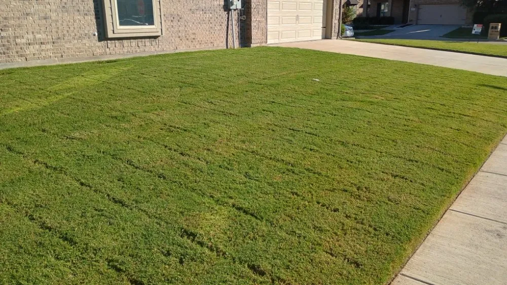 Affordable lawn care service in Fort Worth, TX by Mow Pros Lawn Landscaping
