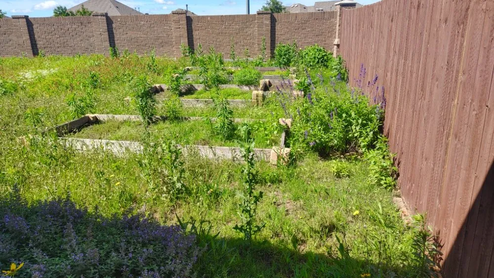 Expert landscaping services in Fort Worth, TX by Mow Pros Lawn Landscaping