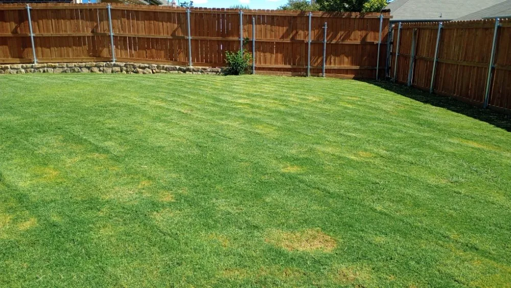 Affordable outdoor landscaping in Fort Worth, TX - Mow Pros Lawn Landscaping