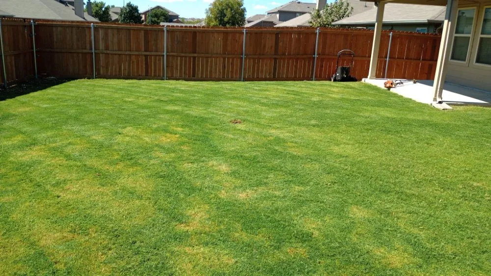 Custom yard maintenance in Fort Worth, TX by Mow Pros Lawn Landscaping