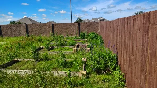 Mow Pros Lawn Landscaping Logo