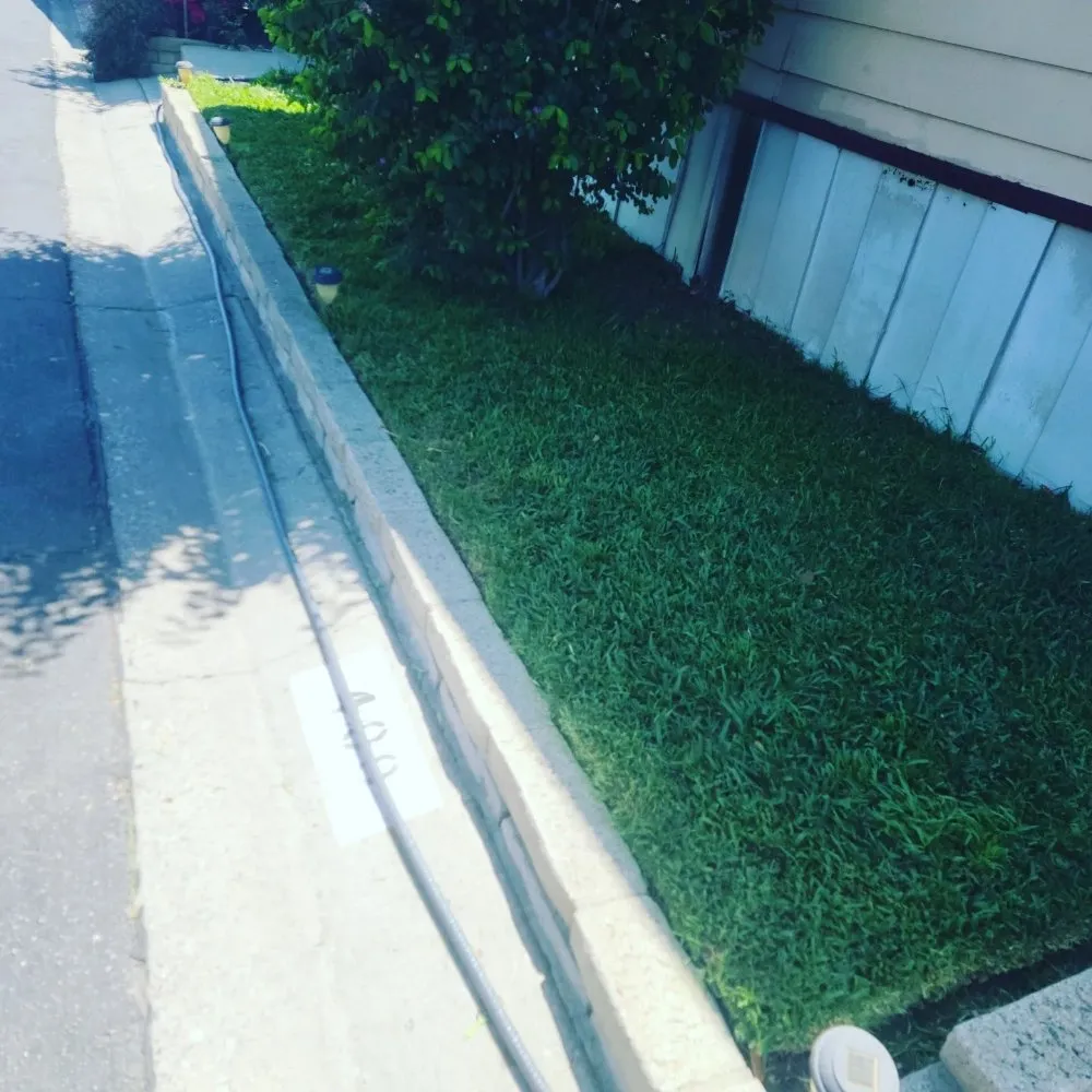 Custom yard maintenance experts serving Los Nietos, CA - Mow Quality