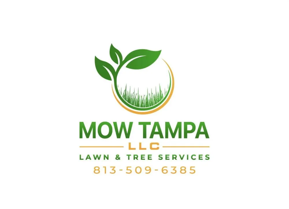 Affordable landscape installation in Tampa, FL by Mow Tampa