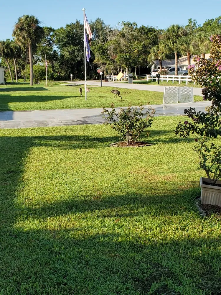 Reliable garden landscaping for homes in Sebring, FL by Mow Tavation Lawn Service