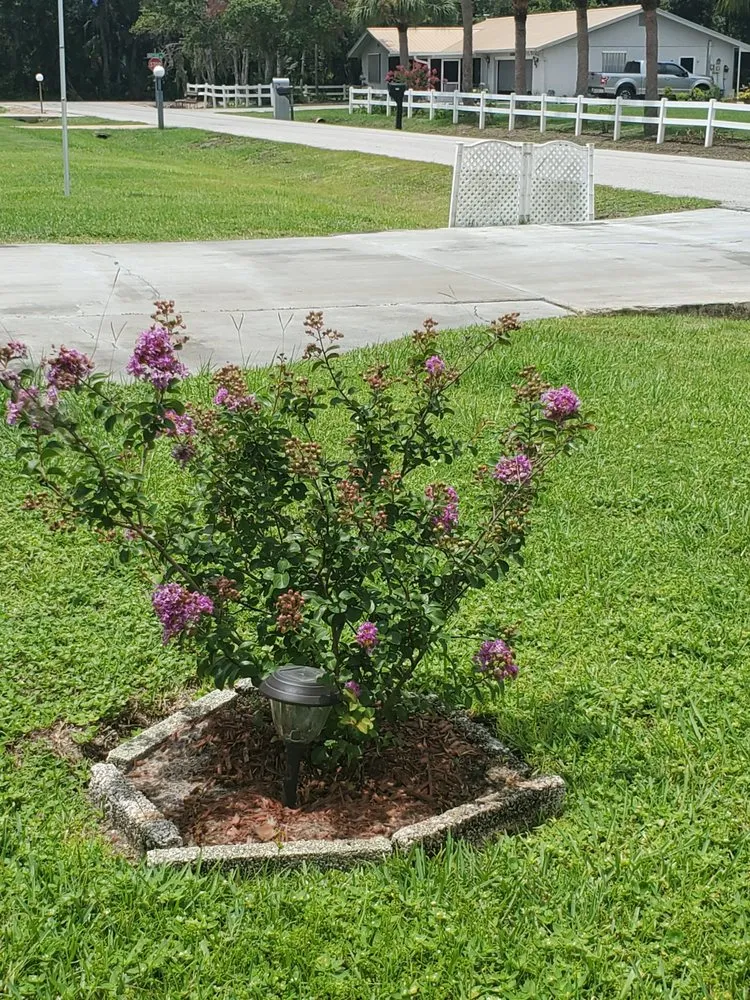 Reliable lawn care service near you in Sebring, FL by Mow Tavation Lawn Service