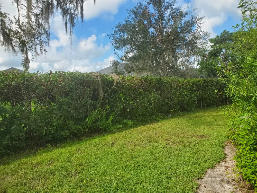 Reliable garden landscaping in Sebring, FL by Mow Tavation Lawn Service