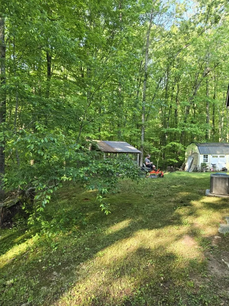 Professional residential landscaping experts serving Gainesville, GA - Mow Time