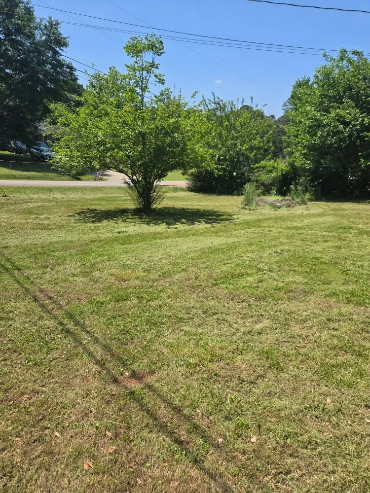 Affordable residential landscaping for residential properties in Gainesville, GA by Mow Time