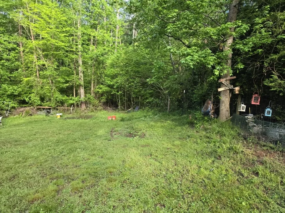 Local residential landscaping experts serving Gainesville, GA - Mow Time