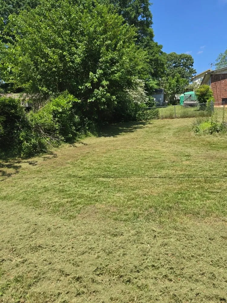 Trusted yard cleanup service in Gainesville, GA by Mow Time