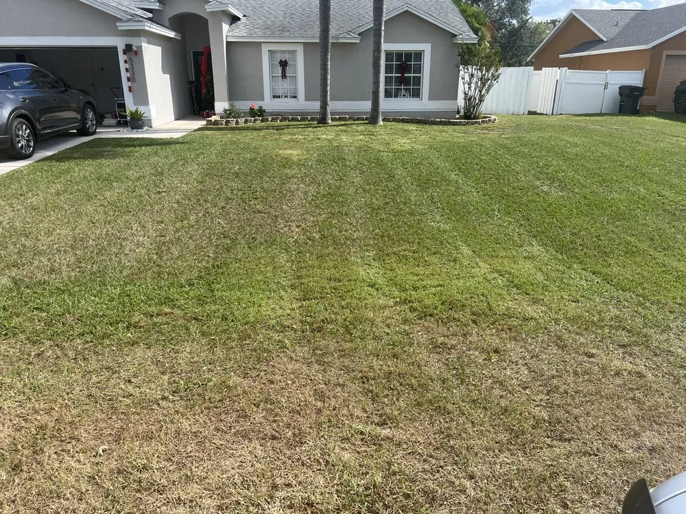 Top-rated yard cleanup service experts serving Lakeland, FL - Mow Time Lawn Service