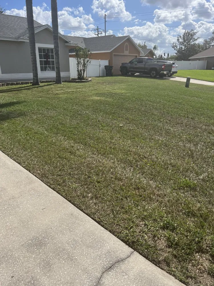 Professional landscape installation in Lakeland, FL - Mow Time Lawn Service