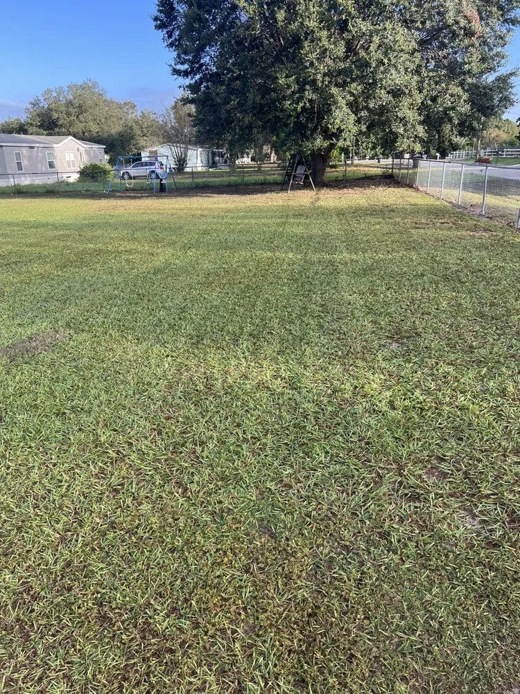 Affordable yard maintenance for beautiful yards in Lakeland, FL by Mow Time Lawn Service