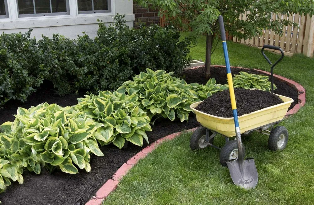 Professional yard cleanup service for year-round maintenance in Olathe, KS by Mow Time Lawn Service