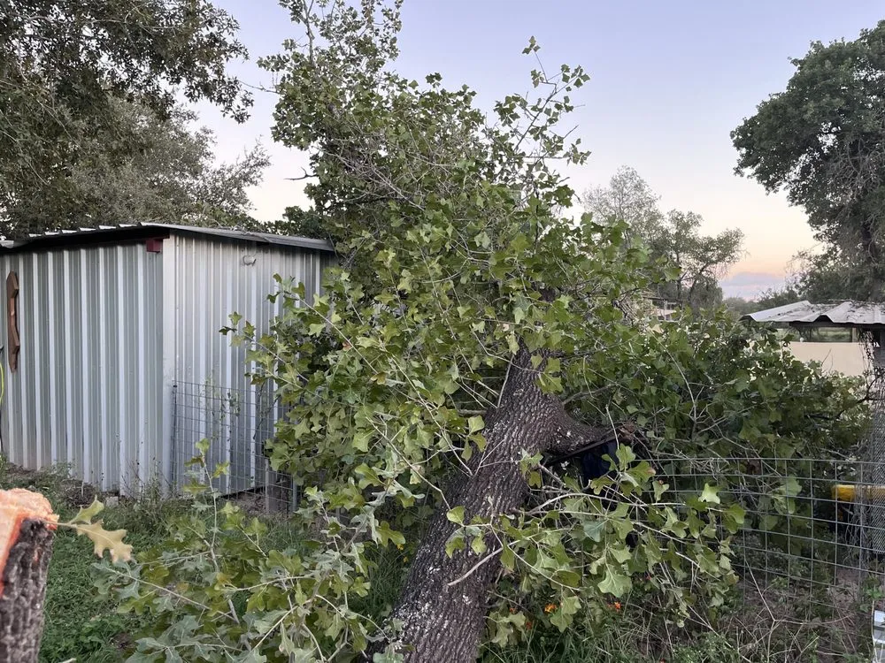 Expert outdoor landscaping near you in Somerset, TX by Mow Time