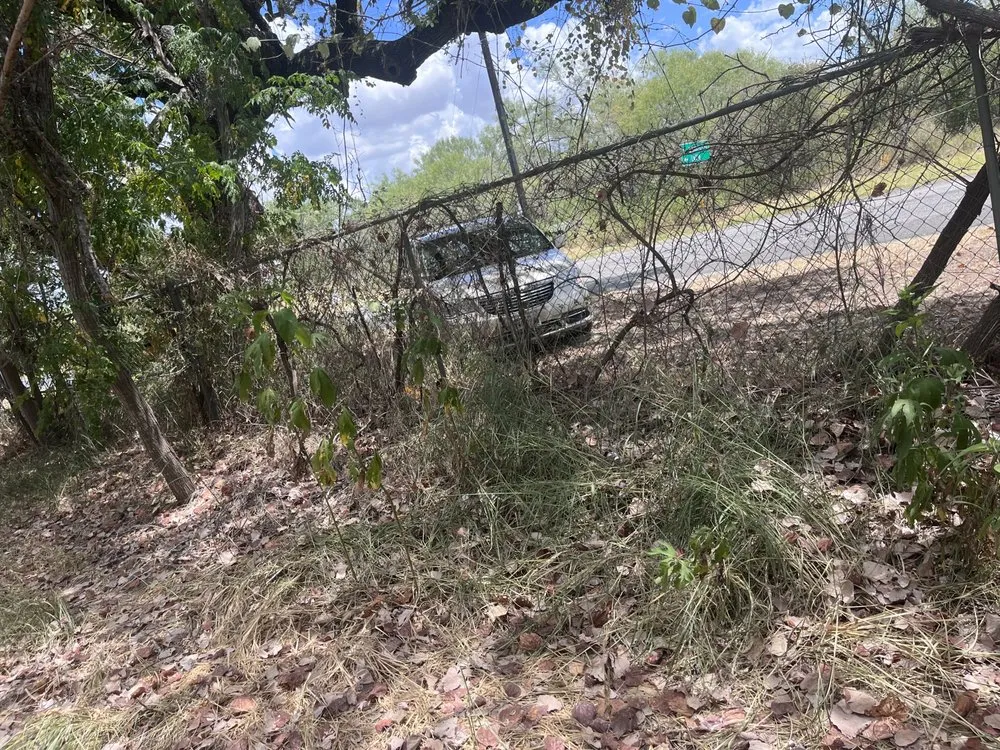 Professional yard cleanup service in Somerset, TX - Mow Time