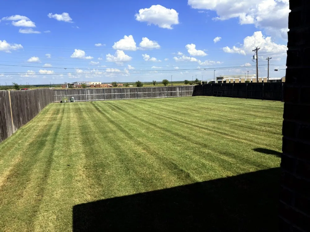Top-rated yard maintenance for year-round maintenance across Abilene, TX - Mow-tinez Landscaping