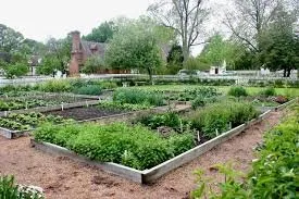 Expert residential landscaping in Leesville, LA - Mow-tivated Landscaping