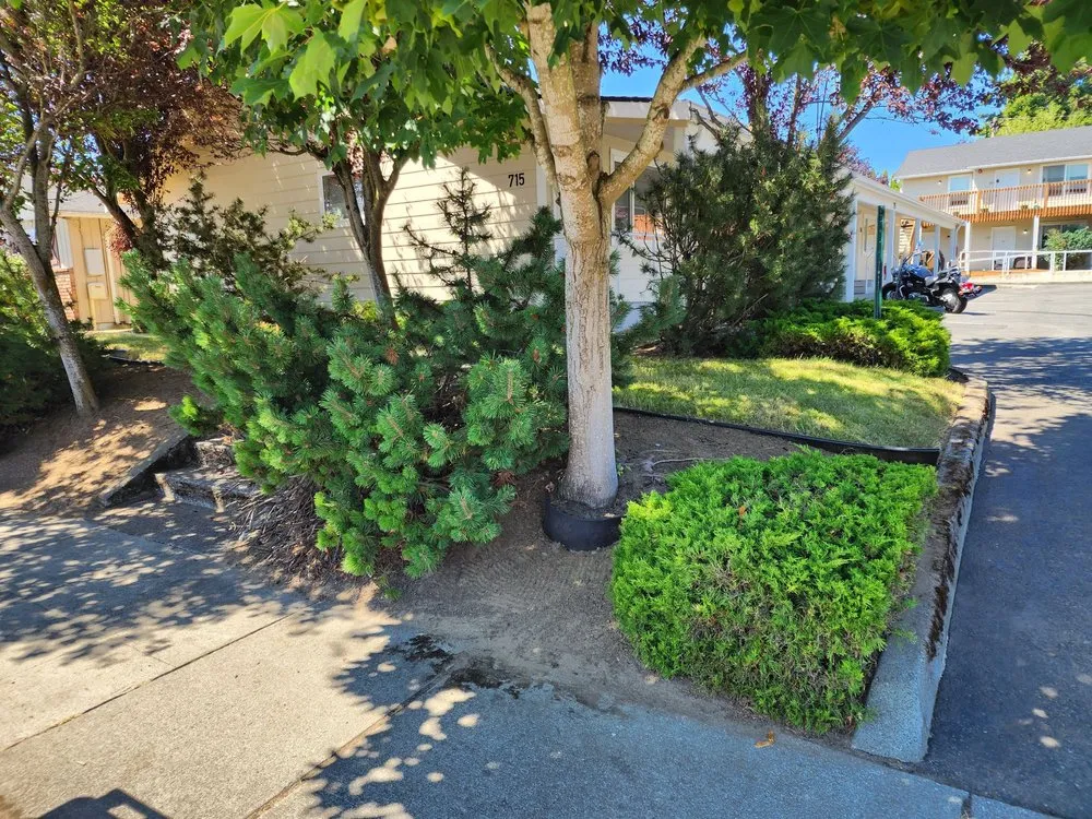 Trusted yard cleanup service for homes in Marysville, WA by Mow-tivation Landscapes