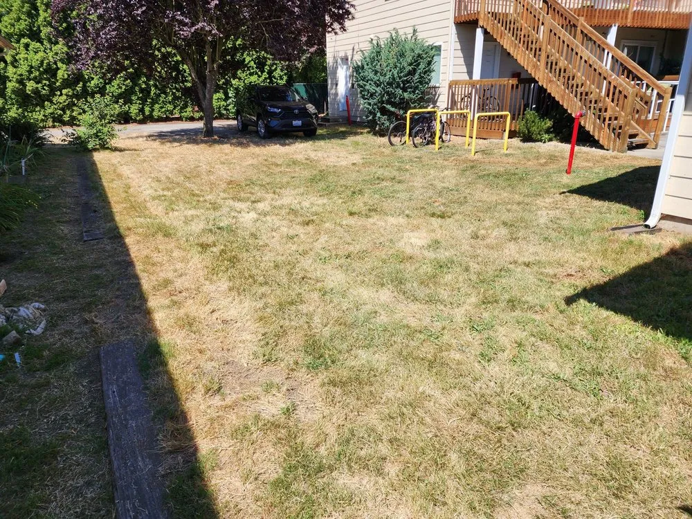 Reliable landscaping services for homes in Marysville, WA by Mow-tivation Landscapes
