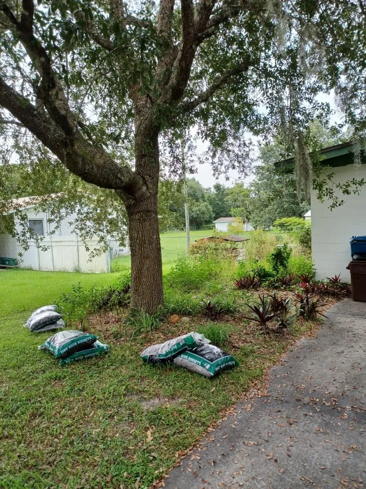 Reliable lawn care service near you across Deltona, FL - Mow-Tivational Lawns & Landscaping