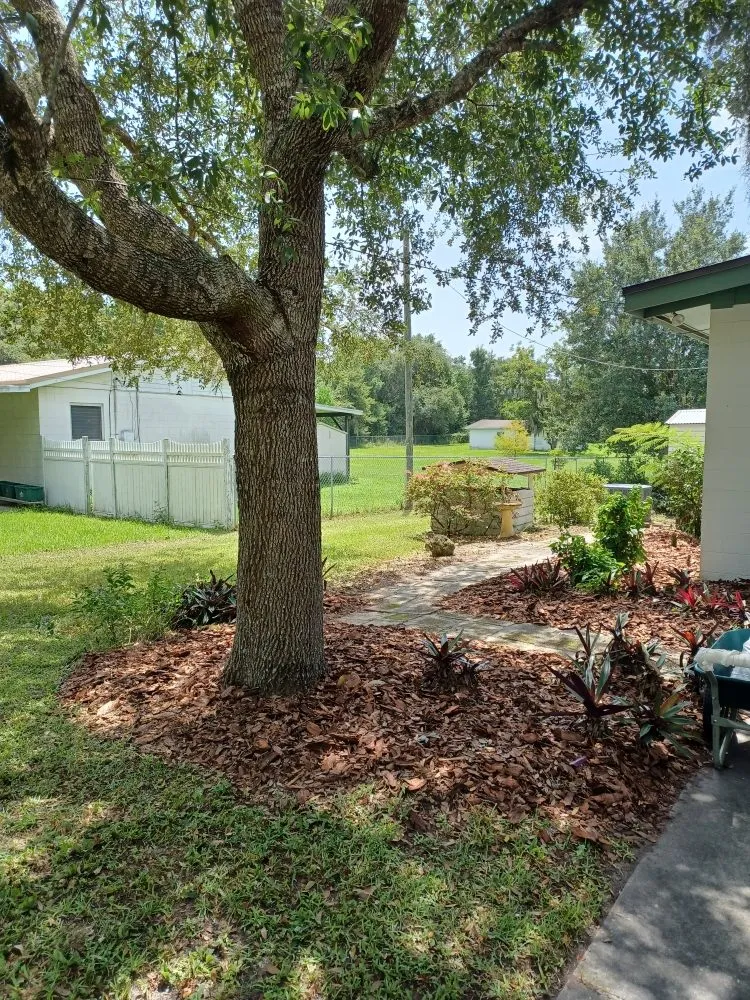 Expert landscaping services in Deltona, FL - Mow-Tivational Lawns & Landscaping