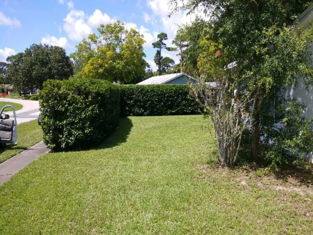 Professional lawn mowing service near you in Deltona, FL by Mow-Tivational Lawns & Landscaping