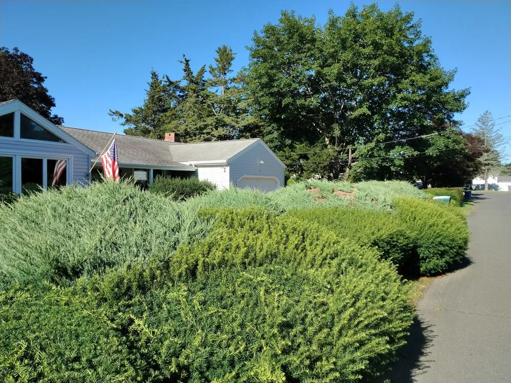Reliable outdoor landscaping in Bradford, RI - Mow to Snow Property Management