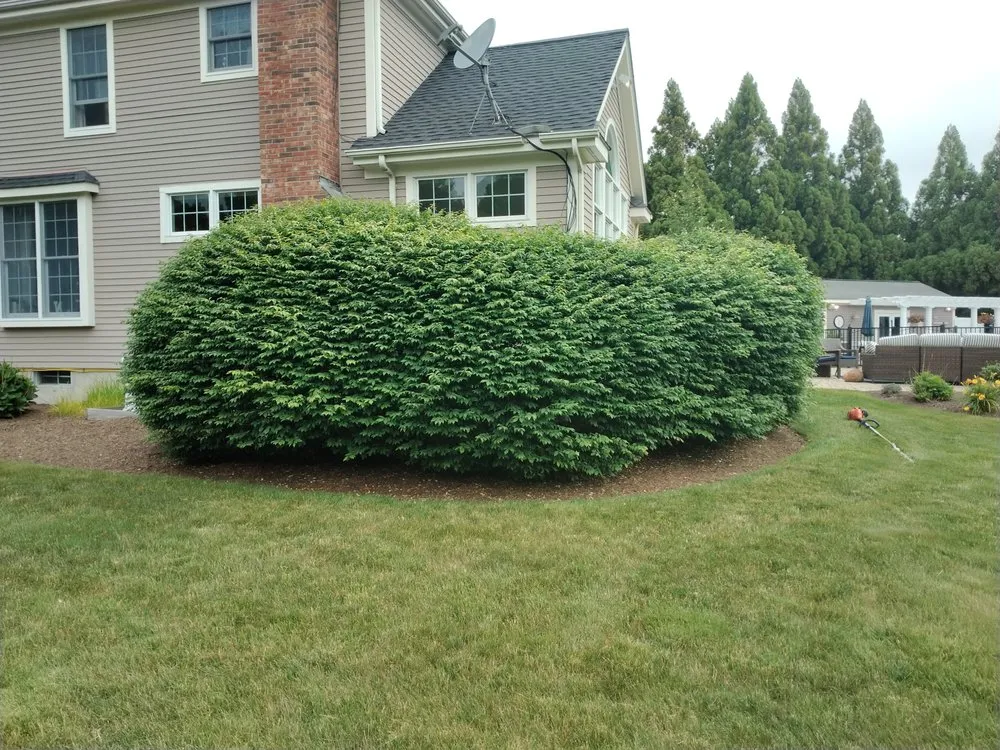 Expert yard maintenance in Bradford, RI - Mow to Snow Property Management