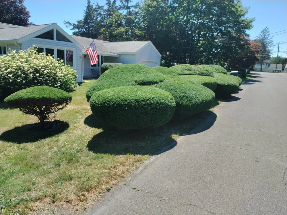 Custom lawn mowing service in Bradford, RI - Mow to Snow Property Management