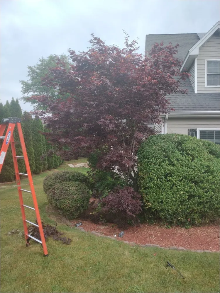 Affordable outdoor landscaping for homes across Bradford, RI - Mow to Snow Property Management